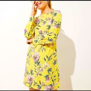 NWT, Loft shift long sleeve dress.